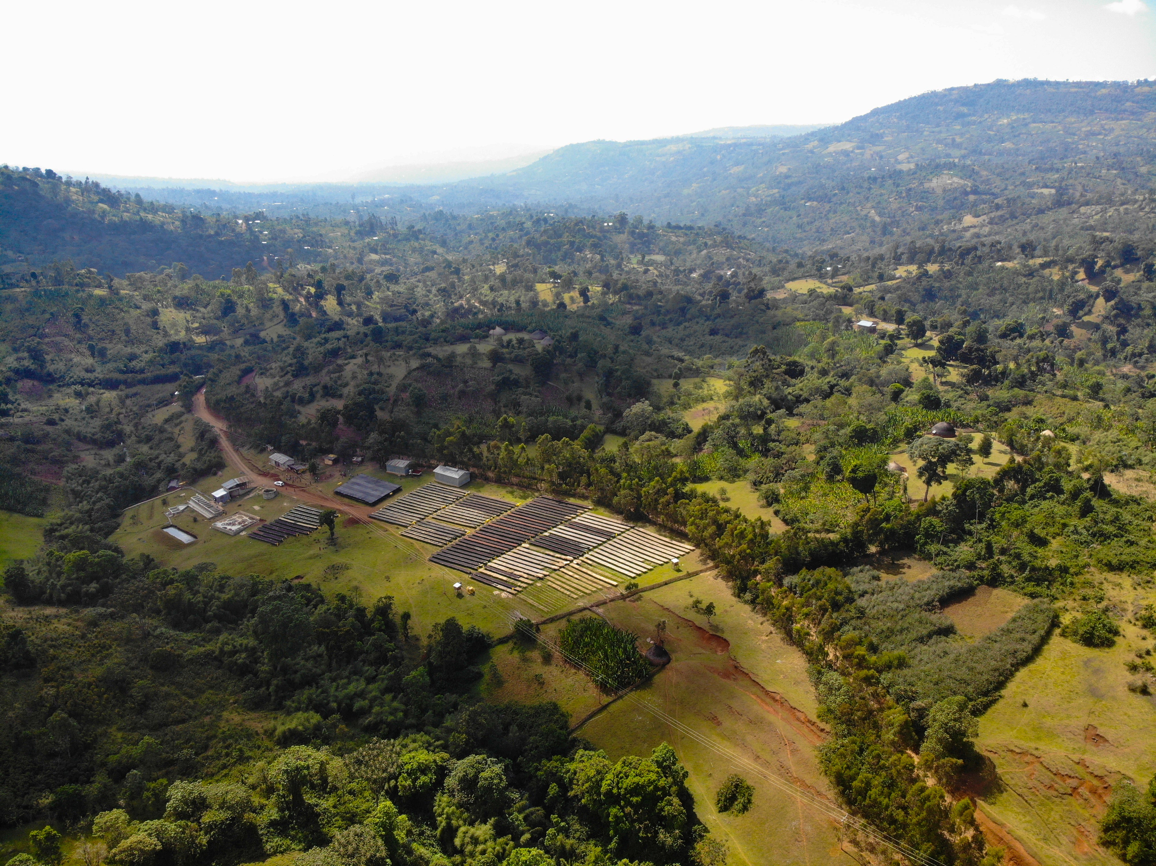Drone_Shot_4.jpg