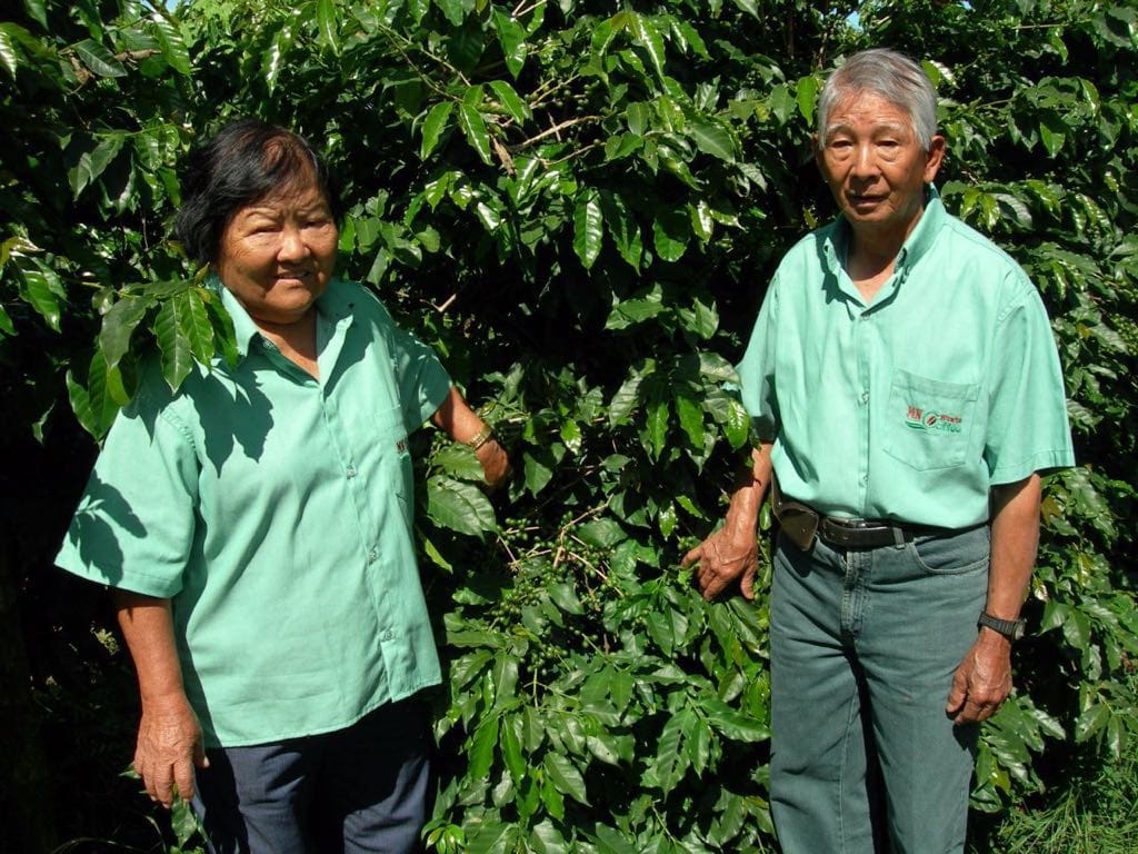 Fazenda-Catanduva-Marie-Nakao-Sasaki-6.jpg